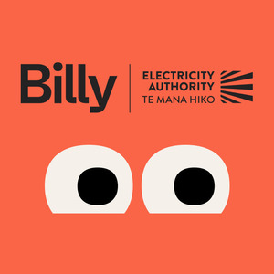 billy.govt.nz