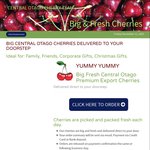 bigcherries.co.nz