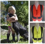 Win an Adult and 2 Kids Hi-Vis Vests (Worth $89) from Kiwi Families