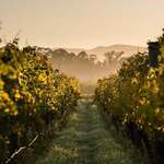 Win a 1 Night Stay at The Chambers in Martinborough, Breakfast for 2, Double Pass to Discover Te Muna from Wairarapa