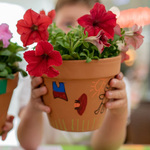 [Kids] Free - Paint a Pot + Receive Pack of Seeds & Soil @ Westfield, Riccarton & Albany (Plus Members, Booking Required)