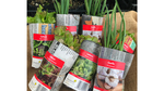 Win 1 of 5 $100 Plant Bundles from Awapuni Nurseries @ NZ Gardener
