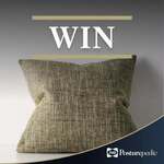 Win 2 Cushions (Worth $298) from Sealy