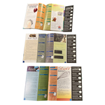 120 Short-Stories + Questions Comprehension Books (for Ages 8-11) $0 + $15 Shipping @ New Heights Reading