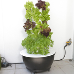 Win a Vertical Vege Garden, (Worth $490) from Green Ideas