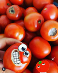 15kg Imperfect Roma Tomatoes $45.00 ( + Shipping to Selected Areas) @ PerfectlyImperfect
