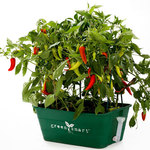 Win a Large GreenSmart Planter (Worth $85) from Green Ideas