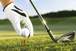 $9 for 9 Holes or $15 for 18 Holes (up to 55% off) at Maxwell's Golf Retreat Ramarama Via Groupon