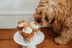 Win a Cake & Co Signature 6” Single-Layer Bacon & Carrot Cake from Verve Magazine