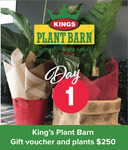 Win a Kings Plant Barn voucher & plants (worth $250) @ Hibiscus Matters