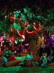 Win 2x Three Day Adult Tickets to WOMAD with Camping from Dish