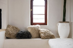 Win two sheepskin cushions from Wilson & Dorset (valued at $390 for the set) @ This NZ Life