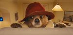 Win a Copy of Paddington on DVD from Diversions