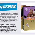 Win a Year's Supply of Advocate for Cats from The Dominion Post