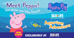 Win a Family Pass to SEA LIFE Kelly Tarlton’s Aquarium (1st-16th July) @ Kidspot