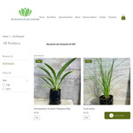 Native Plants from $1.70 + Shipping/C&C: Mānuka, Pōhutukawa, Nikau, Star Jasmine & More @ NZ Native Plant Centre