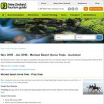 Win a Two Hour Muriwai Beach Forest and Beach Horse Trek for Two from Tourism NZ