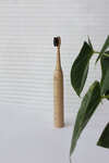 Win 1 of 2 Crescent Nest’s Sustainable Sonic Toothbrush from Mindfood