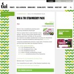 Win a Strawberry Planting Pack Including Strawberry Seedlings from Tui Garden