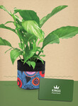Win a $200 Kings Plant Barn Stonefields (Auckland) voucher & plant with canvas planter @ dish
