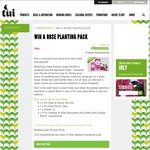 Win a Rose Planting Kit from Tui Garden