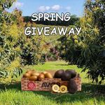 Win a Tray of 10 BayFarms Avocados & 18 Gold Kiwifruit for You and a Friend from BayFarms