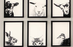 Win a Set of Six Dana Johnston Prints (Valued at $180) from This NZ Life