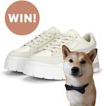 Win a Pair of PUMA Mayza Stack Luxe Sneakers Valued at $200 @ Good Magazine