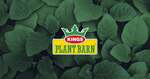 [Garden Club] Free Flowering Annual Plant for Members @ Kings Plant Barn (in-Store, 1 Per Member)