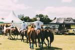 Win Return Flights for 2 to Singapore, 2 Tickets to Singapore Urban Polo, 3 Nights Hotel from VIVA