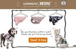 Win 1 of 3 Prizes That Each Includes a US$39 Dog Outfit (Even Cats Enjoy Wearing)