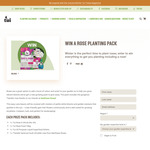 Win a rose planting pack from Tui Garden