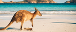 A$20 off Minimum A$80 Spend on Australian Activities @ Mix & Match | Travello