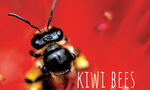 Win 1 of 2 copies of Rachel Weston’s book ‘Kiwi Bees Have Tiny Knees’ from Grownups