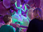 Win a Family Pass for 2 Adults and 2 Children to Bug Lab at Auckland Zoo from Auckland for Kids