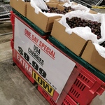Fresh US Cherries $9.99/kg @ Pak'n'save (Royal Oak)
