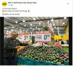 Avocados $0.08ea @ PAK'n SAVE (Royal Oak, Auckland)