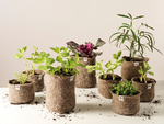 Win Large and Small Pot Bundles from The Wool Pot @ Verve Magazine