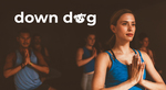 3 Free Exercise Apps - 7 Minute Workout, HIIT, Barre @ Downdog