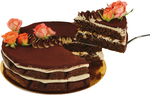 [Auckland] Win an Espresso Dark Chocolate cake decorated with fresh flowers from The Caker (10-12 serves, valued at $95) @ Verve