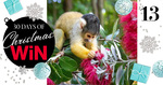 Win 1 of 4 Auckland Zoo Family Passes (Worth $65) from Mindfood