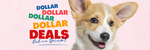 $5 Pet Treats + $59 12kg Bag of Hypoallergenic/Grain-Free Dog Food & + More (+ $8.50 Shipping) @ Banquet Pet
