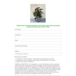 Win 1 of 12 Anthurium Plants from Gellerts @ NZ Gardener