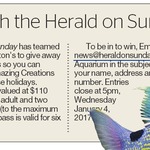 Win 1 of 5 Family Passes to Kelly Tarlton's Sea Aquarium from The NZ Herald