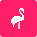 20 Free Minutes for Flamingo Scooters