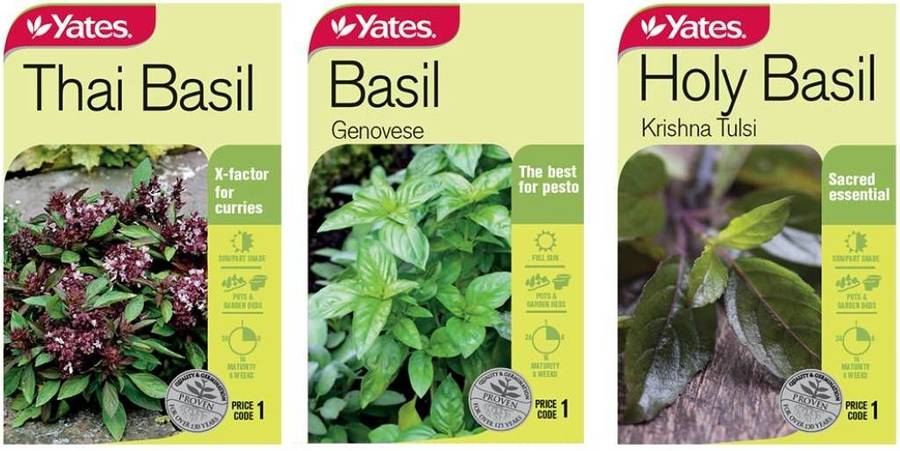 Win 1 of 5 Yates Basil Seed Packs from NZ Gardener