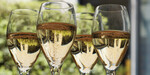 Win a Double Pass to Champagne Champ or Plonk Plonker at The Champagneria, 6 July @ Wellington NZ