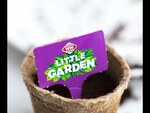 Free Little Garden Seedling Kit with Every $40 You Spend @ New World