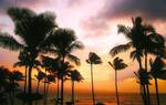 Honolulu, Hawaii Return Ex Auckland from $875, Christchurch $910 [Mar-Feb] on Fiji Airways @ Beat That Flight