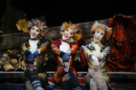 Win 1 of 2 Double Passes to Cats, Sept 11 [Auckland] from Diversions